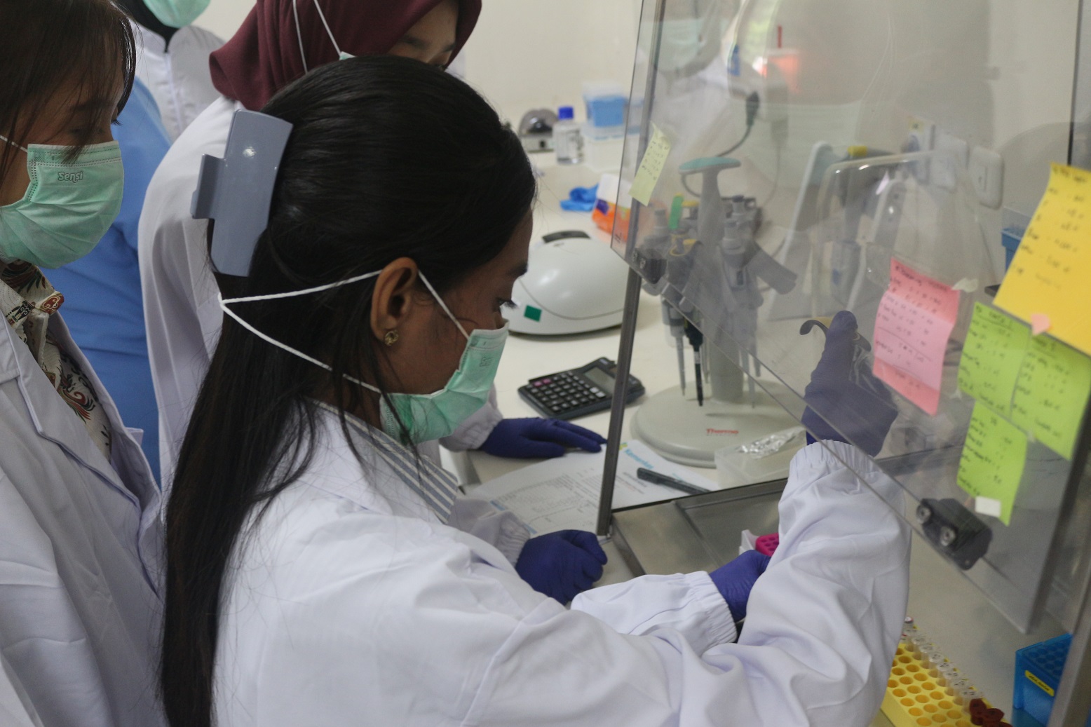 BBLKL Fasilitasi Bimbingan Teknis Universitas Setia Budi Surakarta: Deteksi Virus Dengue dengan Metode PCR