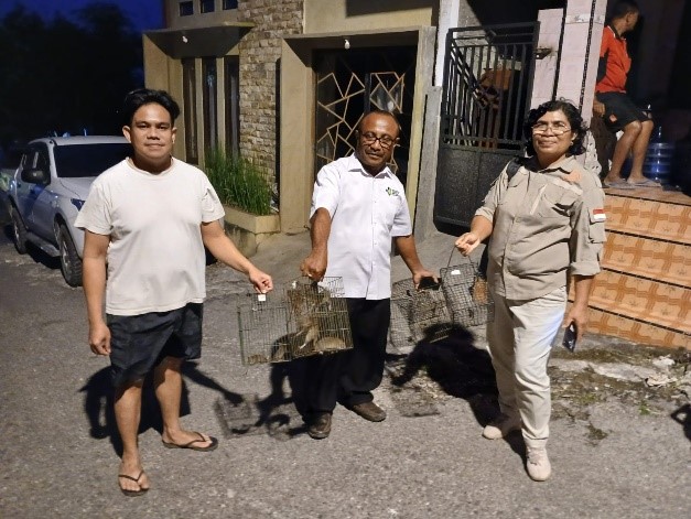 Respon Kasus Hantavirus Di Wilayah Kecamatan Maulafa, Kota Kupang, Nusa Tenggara Timur