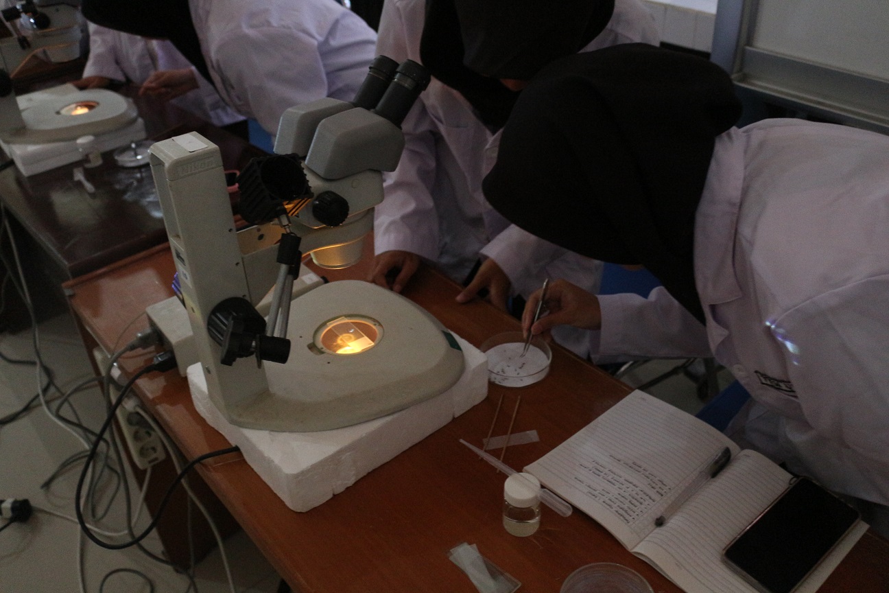 BBLKL Tingkatkan Kompetensi Mahasiswa FKM UNDIP melalui Praktik Identifikasi dan Pembedahan Nyamuk serta Pengenalan Vektor Penyakit